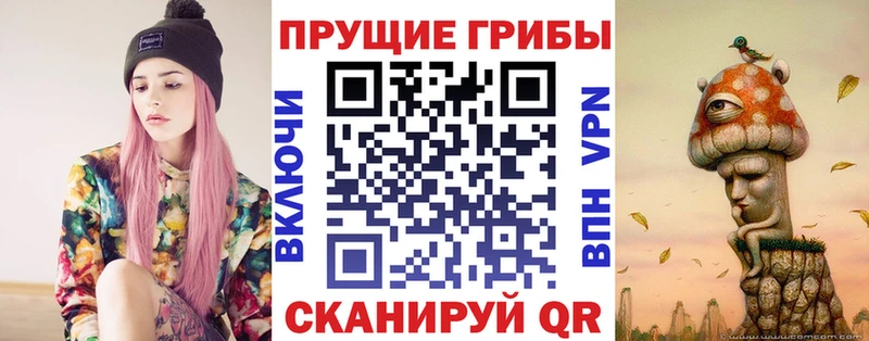 Галлюциногенные грибы Psilocybine cubensis  Глазов 